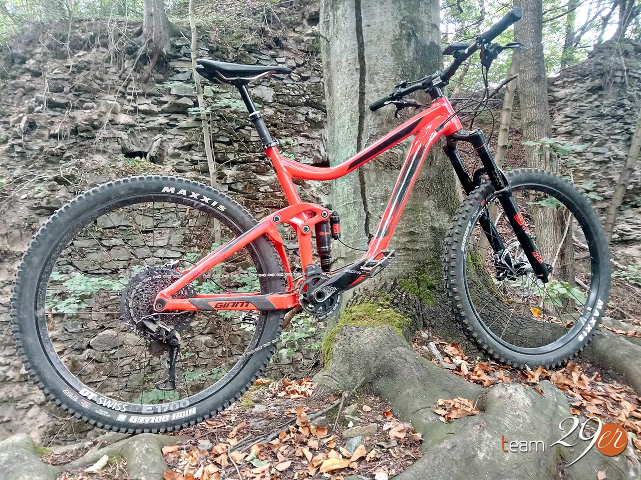 Test Giant Reign 18