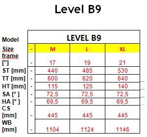 Level B9_Geometry